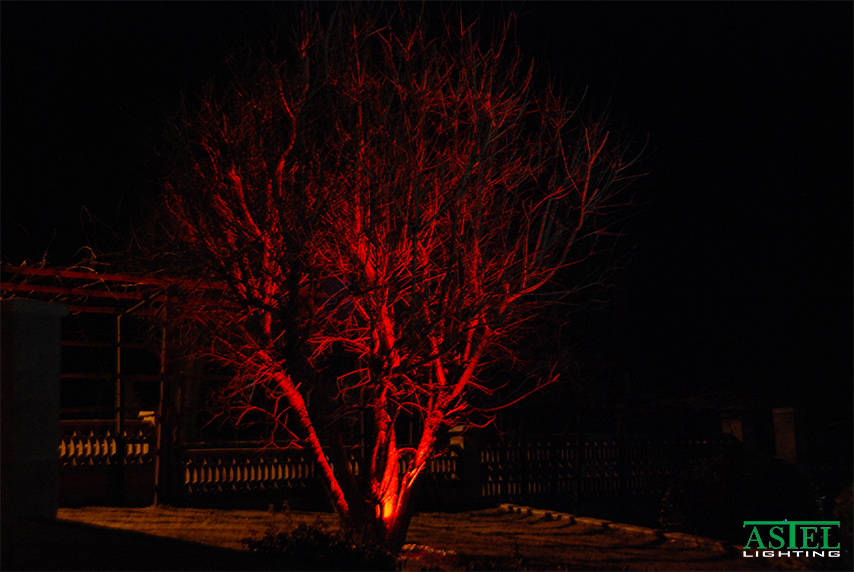 led light outdoor tree