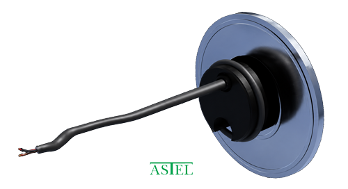 back_PNG_web